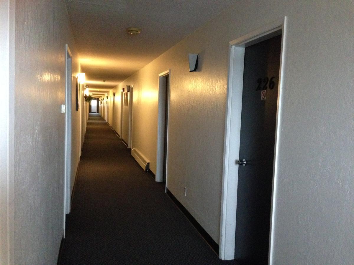Plains Motor Inn Stettler Zewnętrze zdjęcie